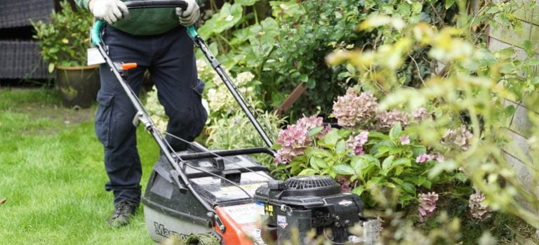 Premium Lawn Care in London | Expert Mowing & Treatments