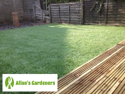 Proficient Garden Design Located in Wembley HA0