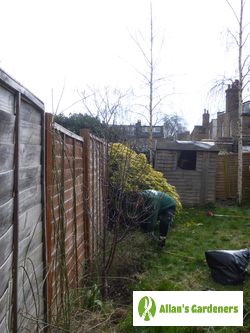 Trustful Garden Maintenance for Harrow HA2 Residents Accurate Garden Maintenance Services in Harrow HA2