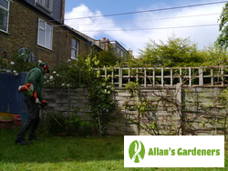 Affordable Garden Maintenance Services around London
