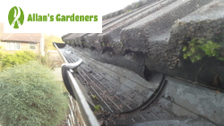 Efficient Gutter Cleaners in Lewisham SE13