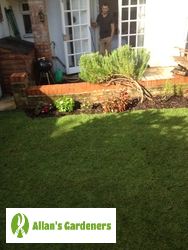 Expert Lawn Care for South Lambeth SW8 Residents Trustful Lawn Mowing from South Lambeth SW8
