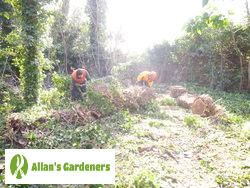 Exemplary Tree Surgeons Located in Dartford DA1 Comprehensive Tree Care for Dartford DA1 Residents