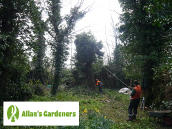 Second-to-none Tree Surgery Based around Hackney E8 Effective Tree Care around Hackney E8