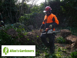 Finest Tree Surgery around Dartford DA1 Reliable Tree Care in the Area of Dartford DA1